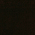 L185-1136.jpg