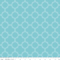 sc435-20-aqua.jpg