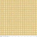 c5443-orange.jpg