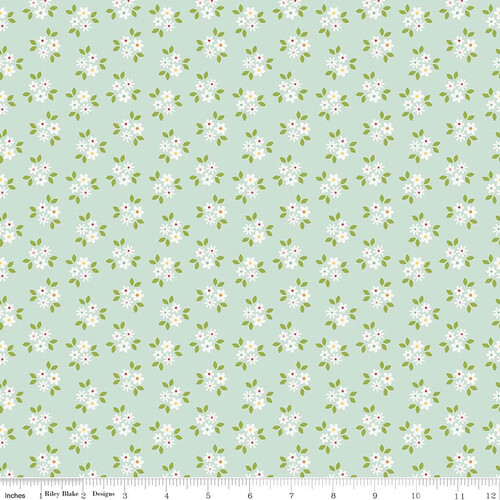 c5664-mint.jpg