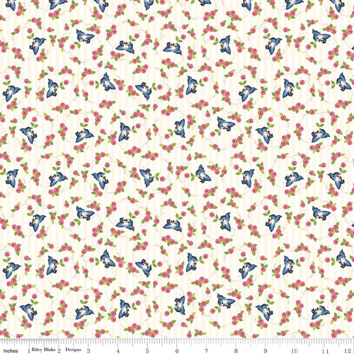 c5822-cream.jpg