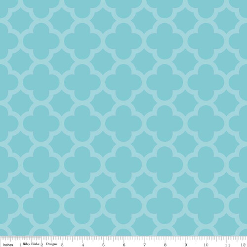 sc435-20-aqua.jpg